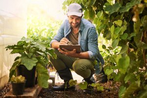 Como escolher o sistema de irrigação ideal para sua propriedade