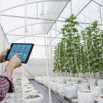 O papel da tecnologia na modernização da irrigação