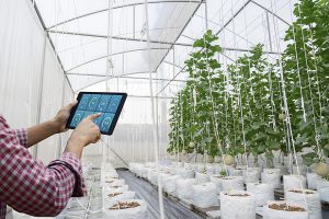 O papel da tecnologia na modernização da irrigação