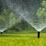 Irrigação residencial: jardins exuberantes o ano todo
