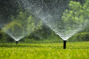 Irrigação residencial: jardins exuberantes o ano todo